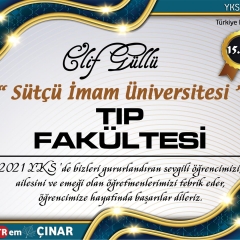 15596-Elif-Gullu